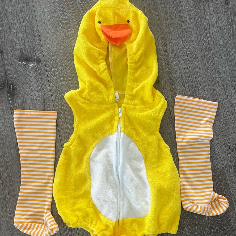 12M duck costume